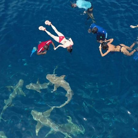 Summer Sky ソドゥー エクステリア 写真